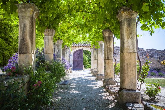 Abbazia di Senanque L'abbazia nei campi di lavanda della Provenza stock.adobe.com 