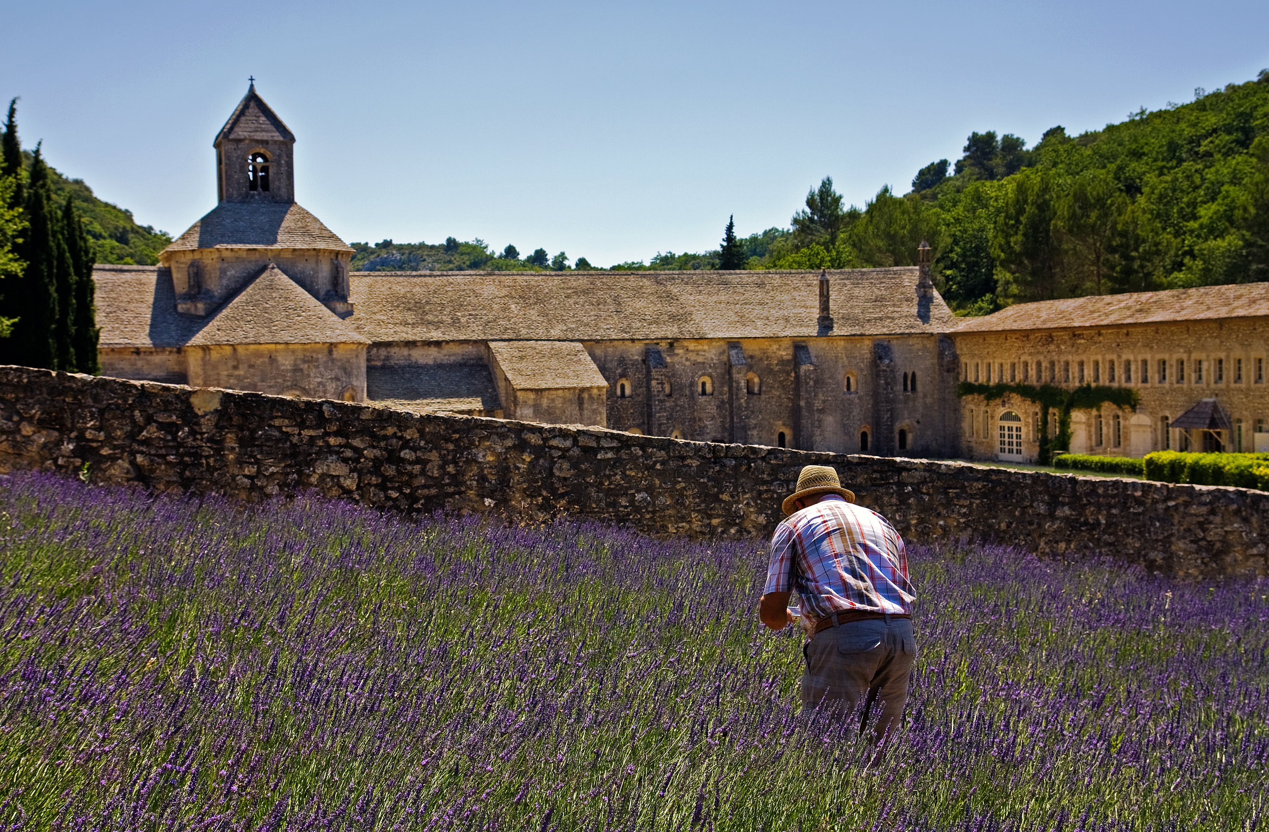 Abbazia di Senanque