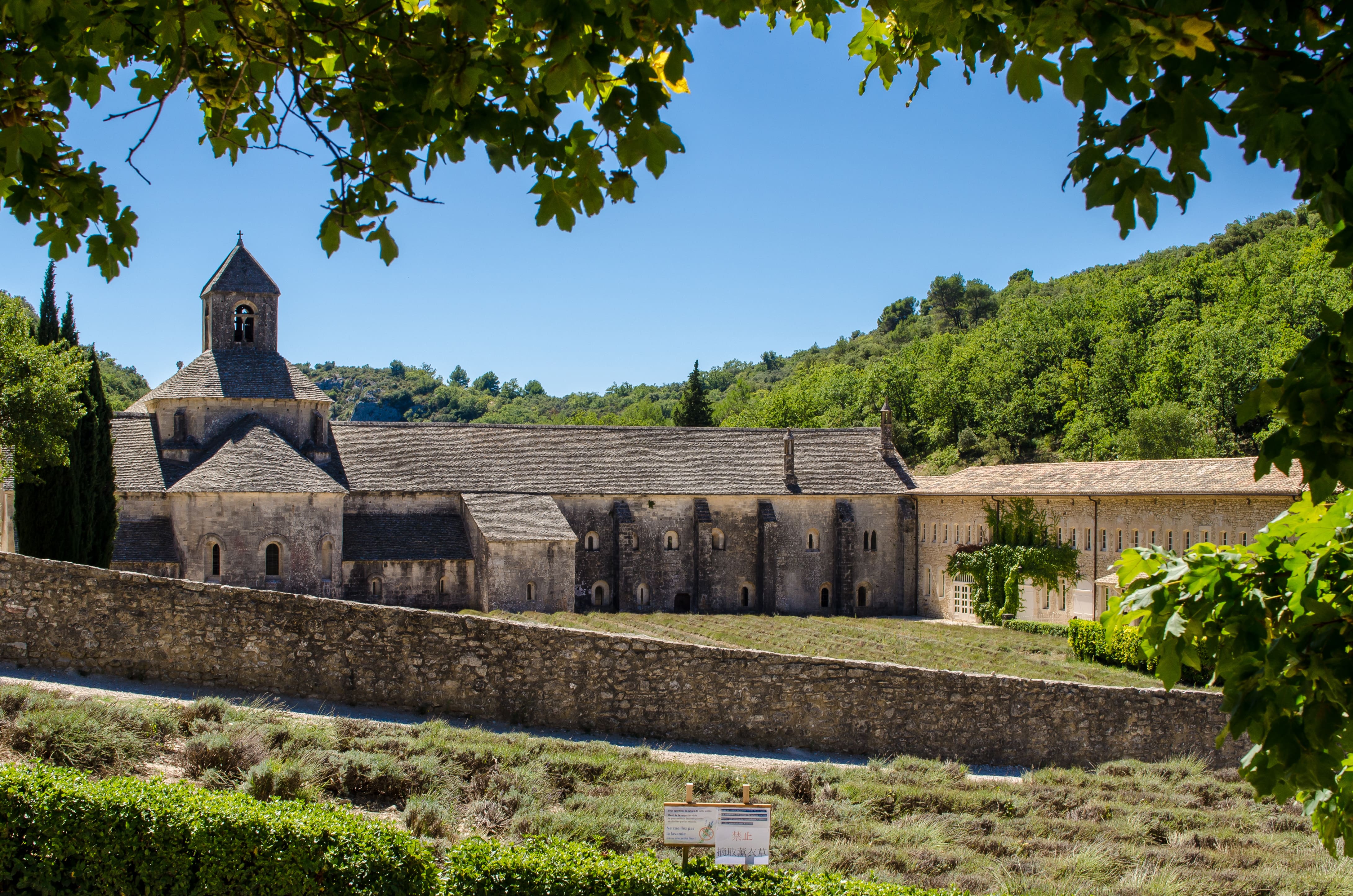 Abbazia di Senanque