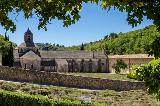 Abbazia di Senanque L'abbazia nei campi di lavanda della Provenza stock.adobe.com 