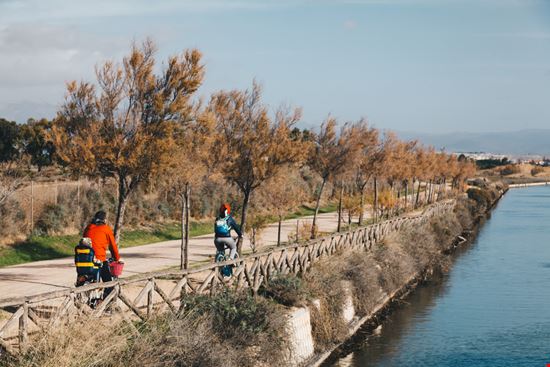 Fenicotteri in città Fenicotteri in città Alessandro Vallainc - Shutterstock.com 