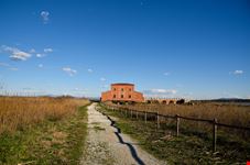 La casa rossa