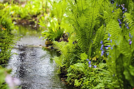 Hortus botanicus Hortus botanicus Magdanatka - Shutterstock.com 