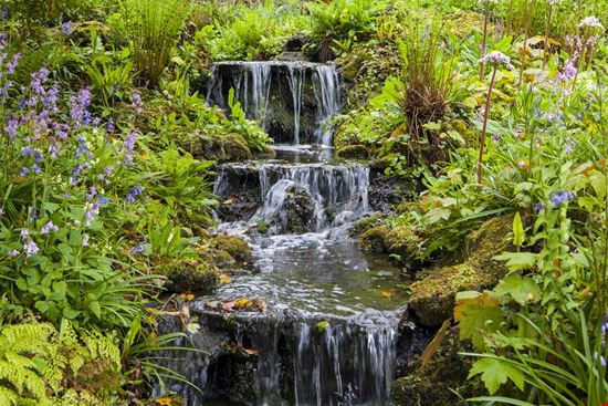Hortus botanicus Hortus botanicus Magdanatka - Shutterstock.com 