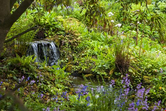 Hortus botanicus Hortus botanicus Magdanatka - Shutterstock.com 