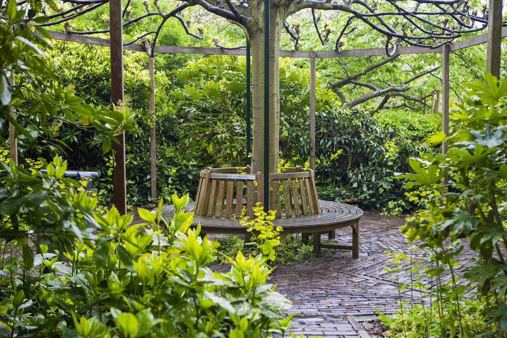Hortus botanicus