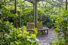 Hortus botanicus