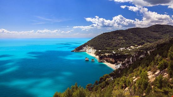 Baia delle Zagare Baia delle Zagare elementals - Shutterstock.com 