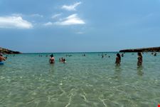Calamosche