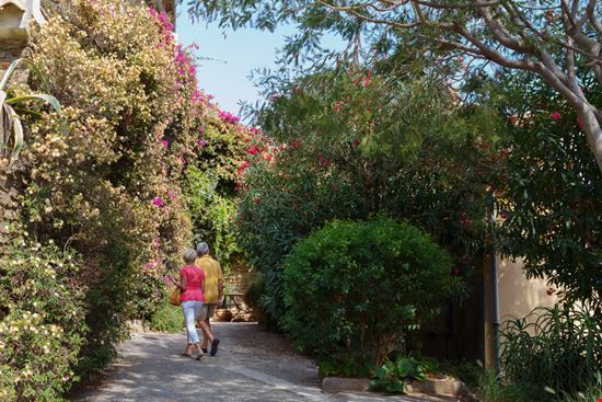 Bormes-les-Mimosas Bormes-les-Mimosas Telly - Shutterstock.com 