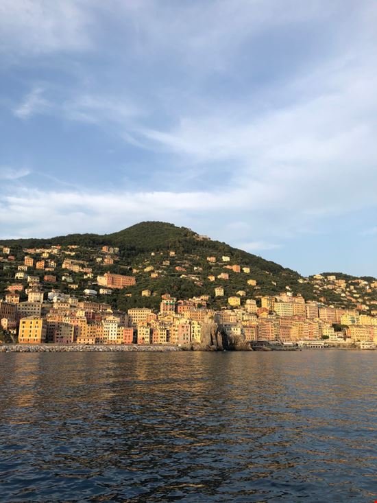 Camogli Punta Chiappa I Quokka In Viaggio - Shutterstock.com 