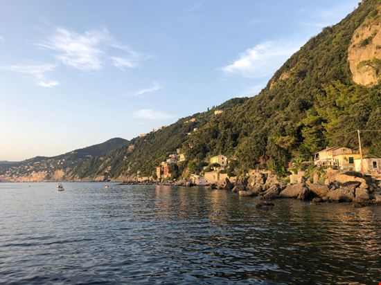 Camogli Punta Chiappa I Quokka In Viaggio - Shutterstock.com 