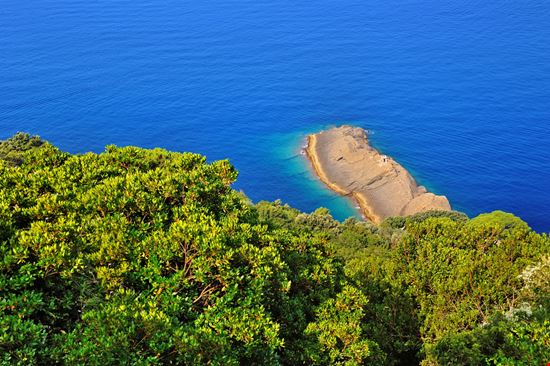 Camogli Punta Chiappa Pavlo Baliukh - Shutterstock.com 