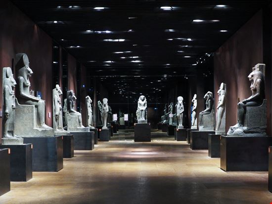 Egyptian Museum and Gallerie Sabauda Turin Claudio Divizia / Shutterstock.com 