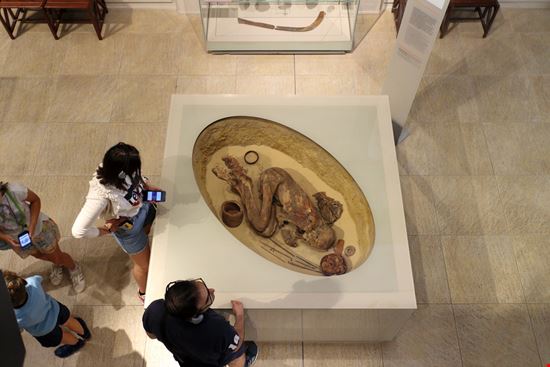 Egyptian Museum and Gallerie Sabauda Turin Nyo09 / Shutterstock.com 