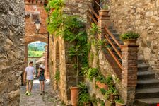 Montefioralle