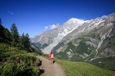 Val ferret