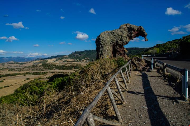 Ha la forma di un elefante: anche se non ci credi esiste davvero, ed è in Sardegna