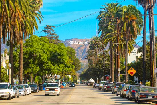 Hollywood Hollywood Ingus Kruklitis / Shutterstock.com 
