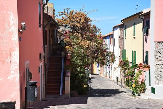 Capraia Capraia Claudiovidri - Shutterstock.com 