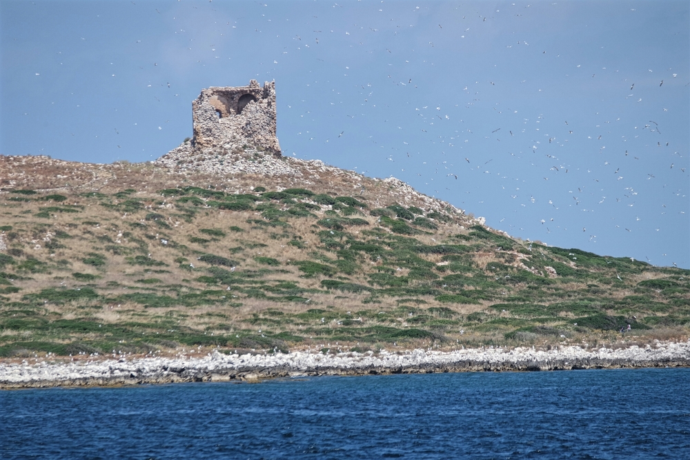 Isola delle Femmine