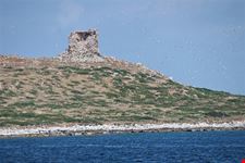 Isola delle Femmine