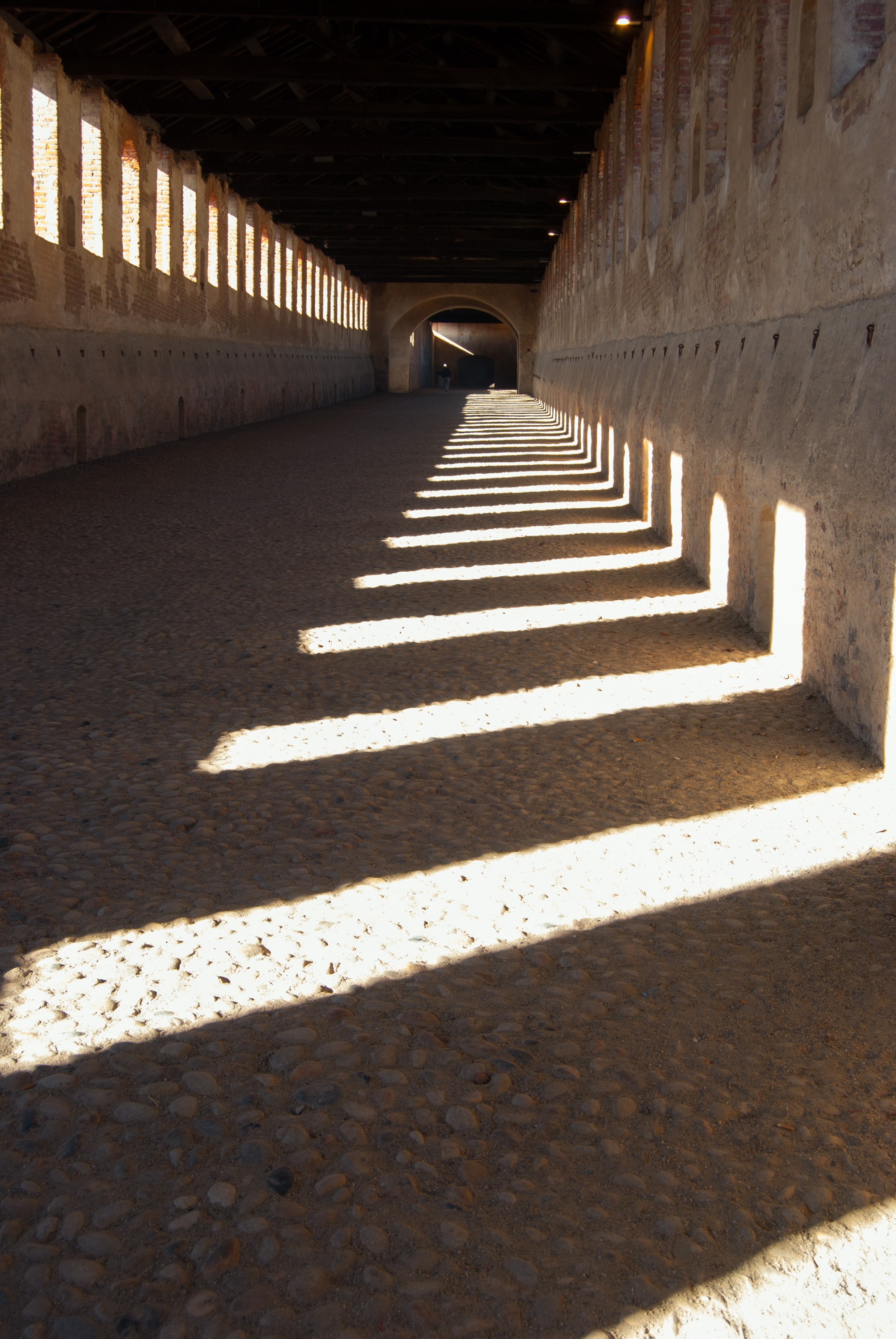 Vigevano