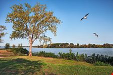 Parco del delta del Po