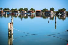 Parco del delta del Po