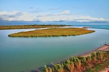 Parco del delta del Po