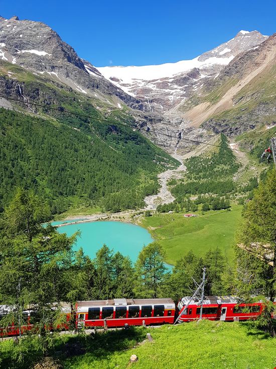 Trenino Rosso del Bernina Il viaggio in treno più belle delle Alpi stock.adobe.com 