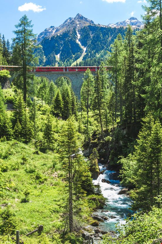 Trenino Rosso del Bernina Il viaggio in treno più belle delle Alpi stock.adobe.com 