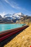Trenino Rosso del Bernina