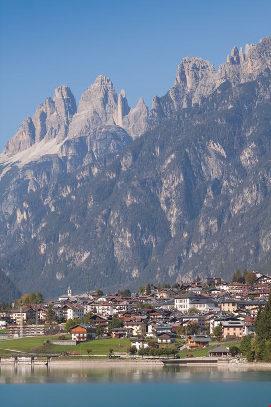 Auronzo di Cadore Auronzo di Cadore Black Brush - Shutterstock.com 