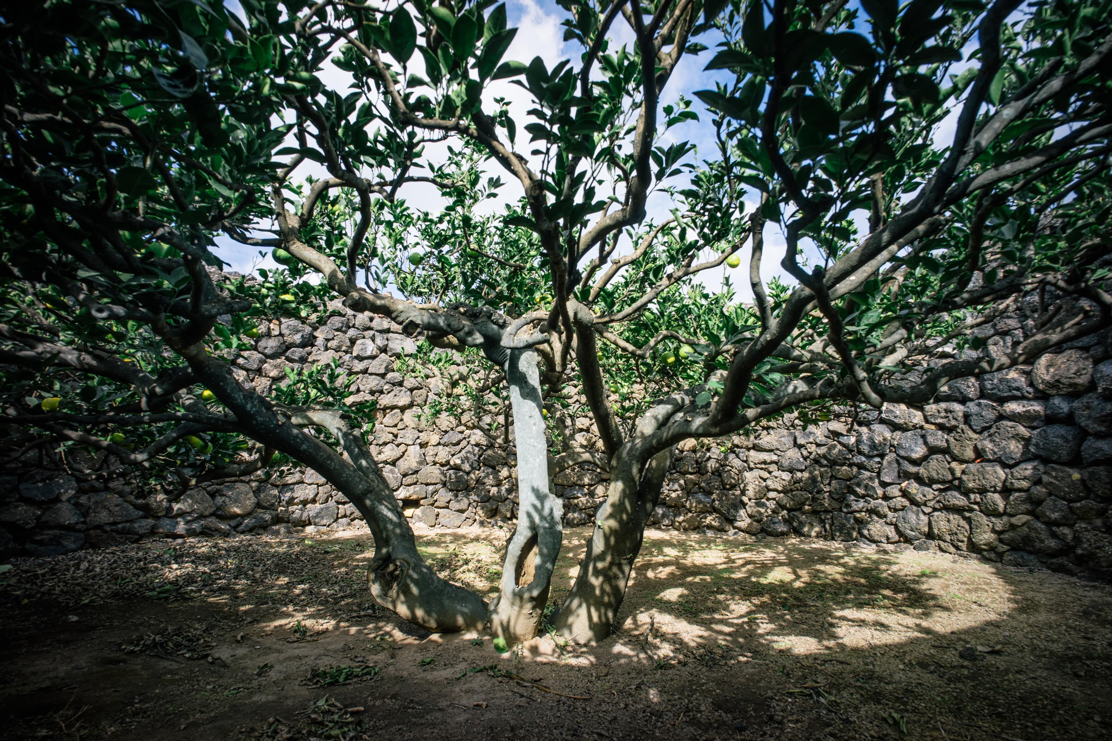 Isola di Pantelleria