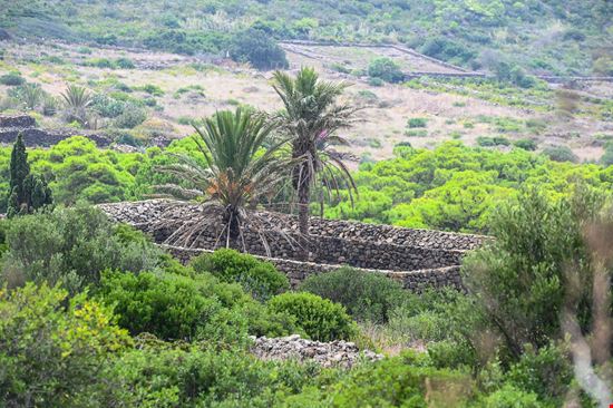 Isola di Pantelleria Giardino Pantesco stock.adobe.com 
