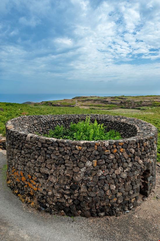 Isola di Pantelleria Giardino Pantesco stock.adobe.com 