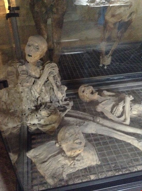 Museo delle Mummie a Ferentillo Museo delle Mummie a Ferentillo Pubblico dominio, https://it.wikipedia.org/w/index.php?curid=6702731 