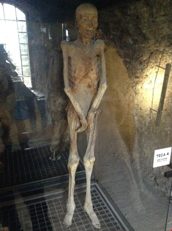 Museo delle Mummie a Ferentillo Museo delle Mummie a Ferentillo Pubblico dominio, https://it.wikipedia.org/w/index.php?curid=6702733 