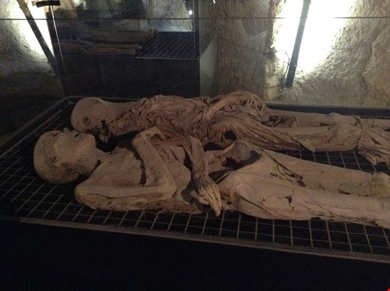 Museo delle Mummie a Ferentillo Museo delle Mummie a Ferentillo Pubblico dominio, https://it.wikipedia.org/w/index.php?curid=6702708 