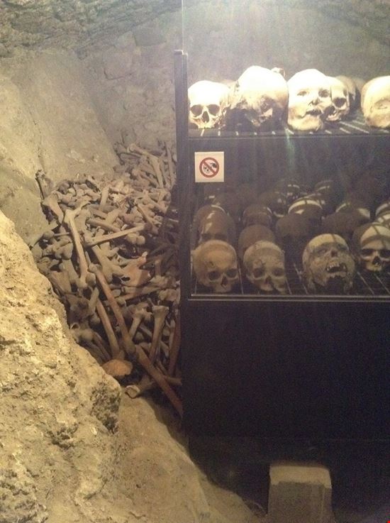 Museo delle Mummie a Ferentillo Museo delle Mummie a Ferentillo Pubblico dominio, https://it.wikipedia.org/w/index.php?curid=6702722 