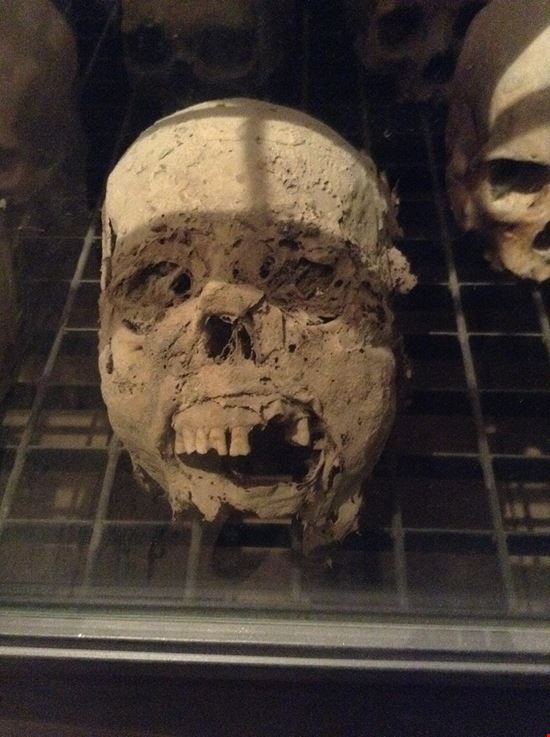 Museo delle Mummie a Ferentillo Museo delle Mummie a Ferentillo Pubblico dominio, https://it.wikipedia.org/w/index.php?curid=6702729 