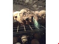 Museo delle Mummie a Ferentillo