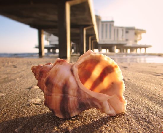 Senigallia Rotonda a mare Shutterstock.com 