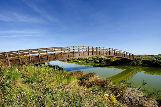 Stagno di Cabras Stagno di Cabras Francescomoufotografo - Shutterstock.com Francescomoufotografo