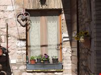Collepino