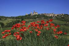 Campofilone