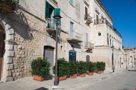 Bisceglie Bisceglie Mi.Ti. - Shutterstock.com 
