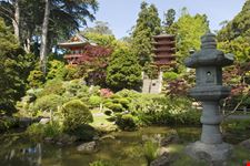 Japanese Tea Garden