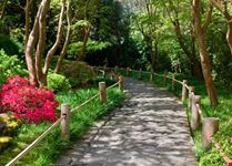 Japanese Tea Garden